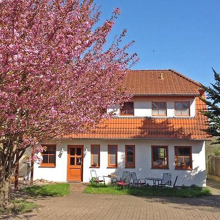 Landpension Zum Kleinen Urlaub Wredenhagen Zimmer foto